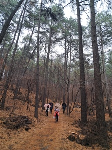 [거북산행 12월 수리산행]