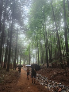[거북산행 9월] 비오는날의 수리산